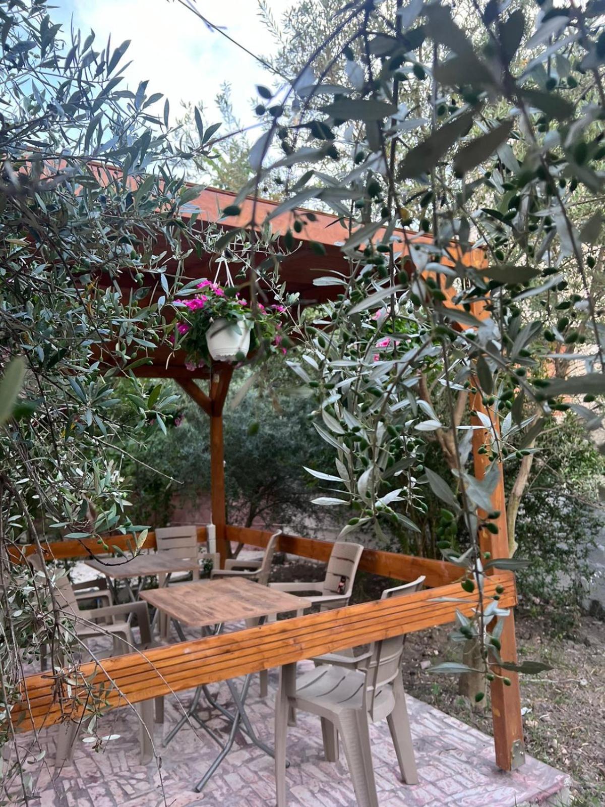Vlorë Vila Magis מראה חיצוני תמונה