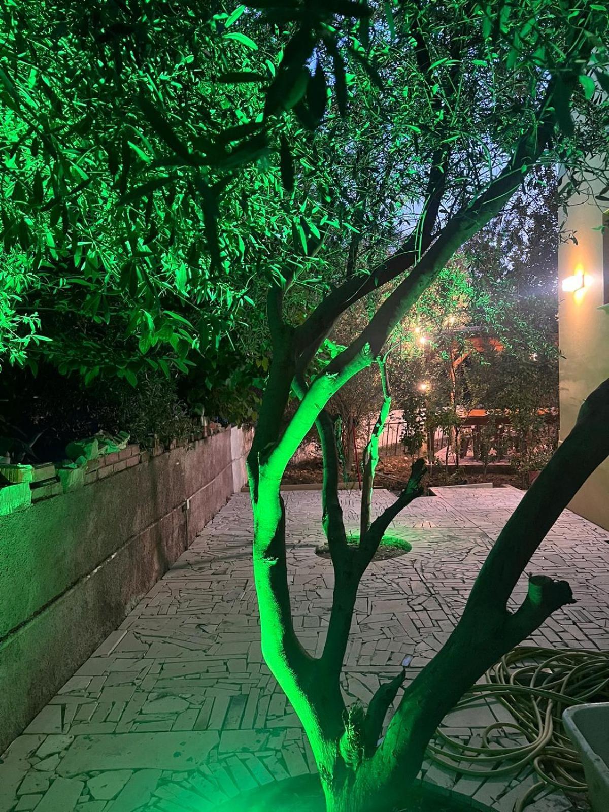 Vlorë Vila Magis מראה חיצוני תמונה