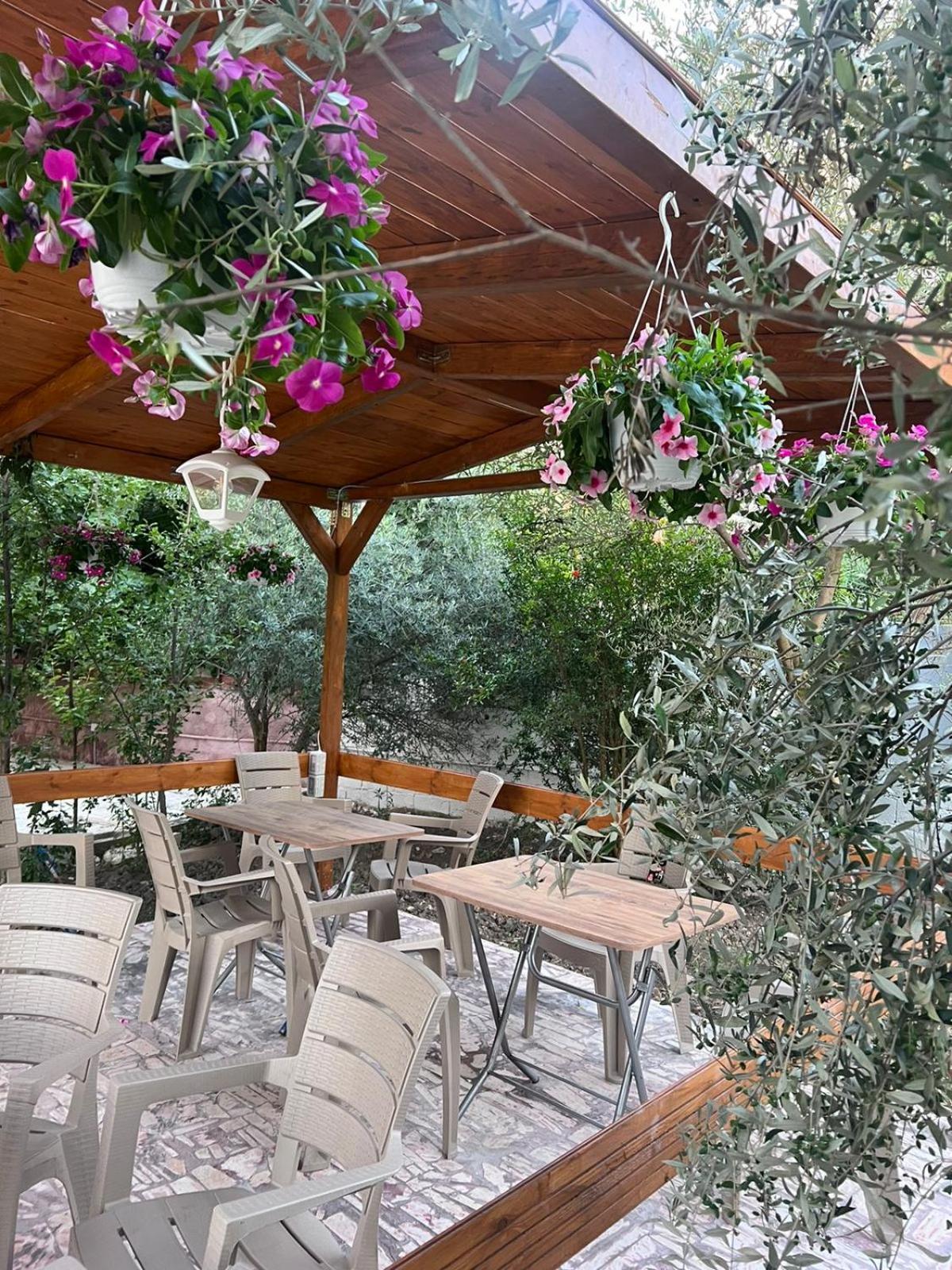 Vlorë Vila Magis מראה חיצוני תמונה